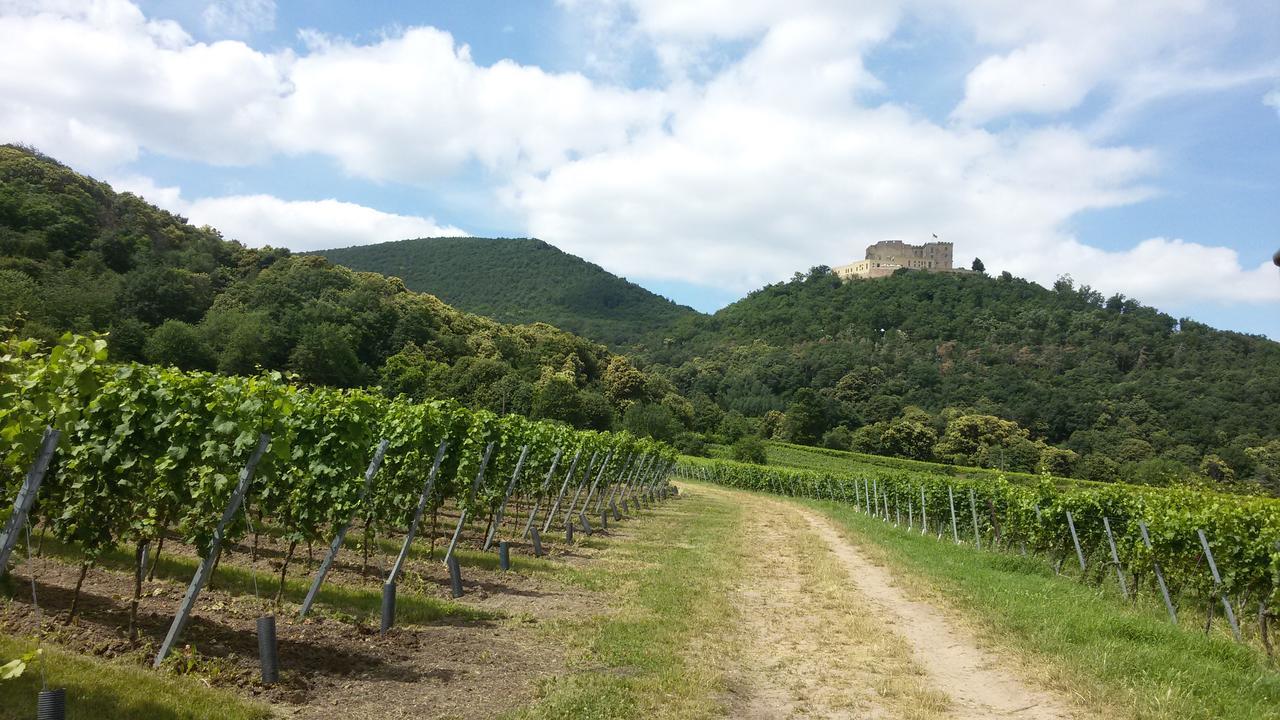 Gaestehaus Weingut Glas Neustadt an der Weinstraße Exterior foto