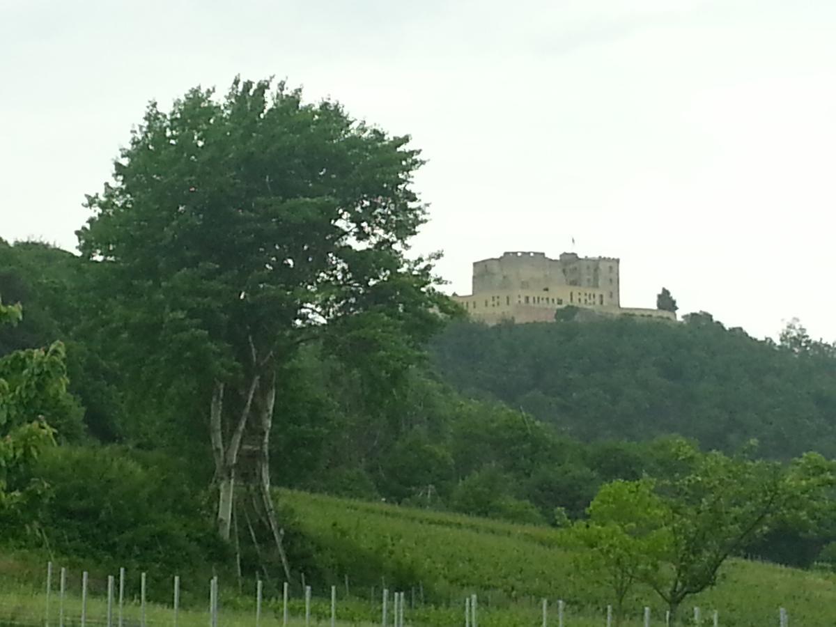 Gaestehaus Weingut Glas Neustadt an der Weinstraße Exterior foto